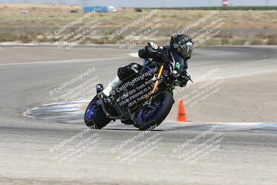 media/Aug-03-2024-TrackDaz (Sat) [[30bed884ff]]/C Group/1240pm (Grapevine)/